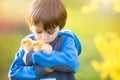 Sweet cute child, preschool boy, playing with little newborn chi