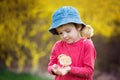 Sweet cute child, preschool boy, playing with little newborn chi