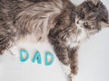 Sweet, Cute Kitten And The Word DAD