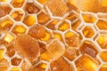 Sweet and delicious fresh hive honey close-up