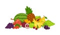 Sweet delicious fruits and berries in big heap
