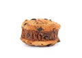 Sweet delicious ice cream cookie sandwich isolated Royalty Free Stock Photo