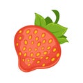 Sweet delicious ripe strawberry with leaves isolated cartoon illustration