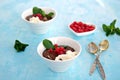 Sweet dessert, chocolate pudding in white portioned saucers on a light blue background. Served with whipped cream and red currant Royalty Free Stock Photo