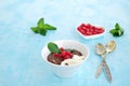 Sweet dessert, chocolate pudding in white portioned saucers on a light blue background. Served with whipped cream and red currant Royalty Free Stock Photo