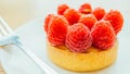 Sweet dessert custard tart with raspberry on top Royalty Free Stock Photo