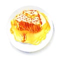 Sweet dessert honeycombs with liquid honey on white plate, isolated, hand drawn watercolor illustration on white