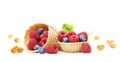 Sweet dessert, raspberry and blueberry Royalty Free Stock Photo