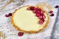 Sweet dessert tart with cheesecake cream filling topped with red raspberry  and cranberry fruits Royalty Free Stock Photo