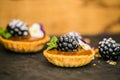 Sweet dessert Tartlets with fresh blackberry Royalty Free Stock Photo