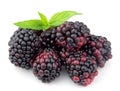 Sweet dewberry Royalty Free Stock Photo