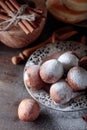 Sweet donuts with cinnamon sticks powdered with sugar. Royalty Free Stock Photo