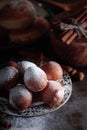 Sweet donuts with cinnamon sticks powdered with sugar. Royalty Free Stock Photo