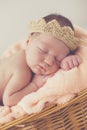 Sweet dream newborn baby in a big basket Royalty Free Stock Photo