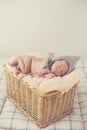 Sweet dream newborn baby in a big basket Royalty Free Stock Photo