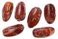 Sweet dried date fruit collection