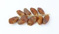 Sweet dried Date Palm fruit Phoenix dactylifera on White isolate background Royalty Free Stock Photo