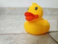 Sweet duck child for sweet and cute children