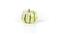 Sweet dumpling decorative squash isolated on white background. Small white pumpkin with green stripes photo with copy space Royalty Free Stock Photo