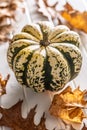 Sweet dumpling pumpkin on white table Royalty Free Stock Photo