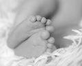 Sweet feet of newborn baby on soft blanket