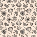 Sweet figs vector seamless pattern. Vintage style. Summer food engraved style illustration.
