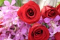 Close up beautiful red roses with purple orchid blossom in a flower bouquet Royalty Free Stock Photo