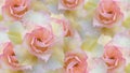 Sweet flowers of rose desert tree on white background Royalty Free Stock Photo