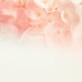 Sweet flowers in soft and blur style on mulberry paper texture Royalty Free Stock Photo