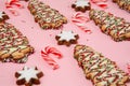 Sweet food for Christmas - biscuits with candy canes.