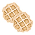 Two Baked Round Waffles on White Background Royalty Free Stock Photo