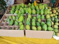 Sweet fragrant mango fruit sold in the market