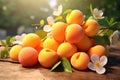 Sweet Fresh apricots food. Generate Ai