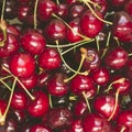 Sweet fresh cherries in film style