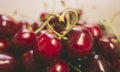 Sweet fresh cherries in film style