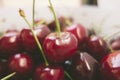 Sweet fresh cherries in film style