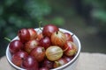 Sweet fresh cherries with water trops Royalty Free Stock Photo