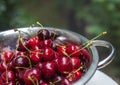 Sweet fresh cherries with water trops in the coleander Royalty Free Stock Photo