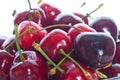 Sweet fresh cherry