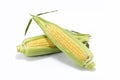 Sweet fresh corn Royalty Free Stock Photo