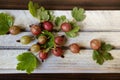 Sweet fresh gooseberry berry in a bowl on light background.