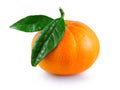 Sweet fresh juicy mandarin with green leaves