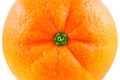 Sweet fresh juicy mandarin isolated on a white background Royalty Free Stock Photo