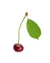 Sweet fresh one cherry with green leaf isolated on white Royalty Free Stock Photo