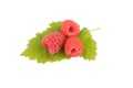 Sweet fresh raspberry fruit with green leaf Royalty Free Stock Photo