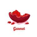 Sweet fresh red garnet. Vector flat illustration