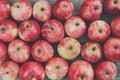 Sweet fresh ripe red apple harvest background Royalty Free Stock Photo