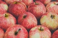 Sweet fresh ripe red apple harvest background Royalty Free Stock Photo
