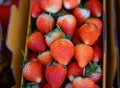 Sweet freshness strawberry group ready to eat storage in container box