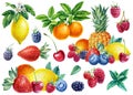 Sweet fruits and berries. Watercolor lemon, tangerine, pineapple, raspberry, cherry, blackberry and strawberry and mint Royalty Free Stock Photo
